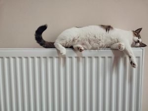 chat-sur-radiateur